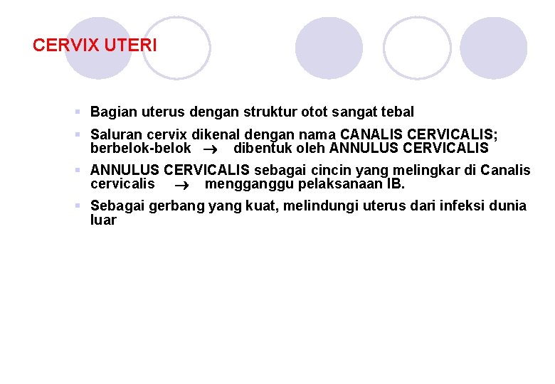 CERVIX UTERI § Bagian uterus dengan struktur otot sangat tebal § Saluran cervix dikenal