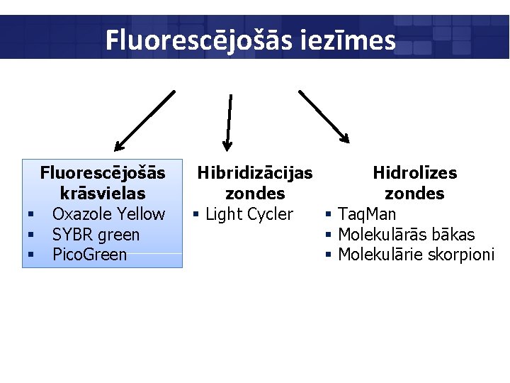 Fluorescējošās iezīmes Fluorescējošās krāsvielas § Oxazole Yellow § SYBR green § Pico. Green Hibridizācijas
