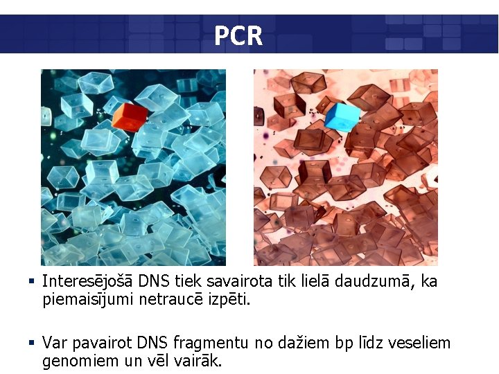 PCR § Interesējošā DNS tiek savairota tik lielā daudzumā, ka piemaisījumi netraucē izpēti. §