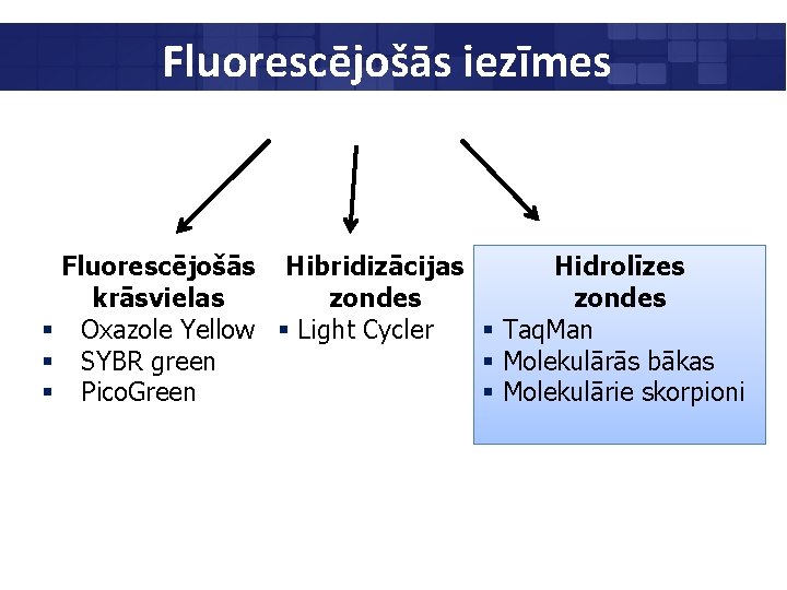 Fluorescējošās iezīmes Fluorescējošās Hibridizācijas Hidrolīzes krāsvielas zondes § Oxazole Yellow § Light Cycler §