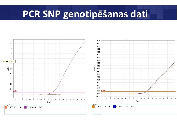 PCR SNP genotipēšanas dati 