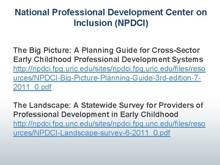 National Professional Development Center on Inclusion (NPDCI) The Big Picture: A Planning Guide for