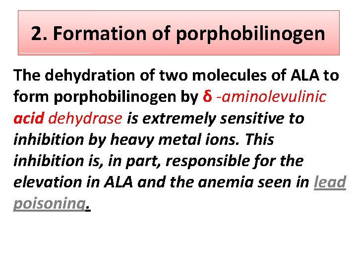 2. Formation of porphobilinogen The dehydration of two molecules of ALA to form porphobilinogen