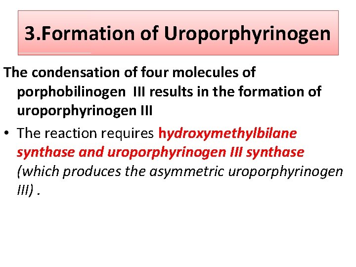 3. Formation of Uroporphyrinogen The condensation of four molecules of porphobilinogen III results in