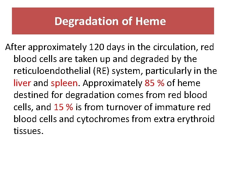 Degradation of Heme After approximately 120 days in the circulation, red blood cells are