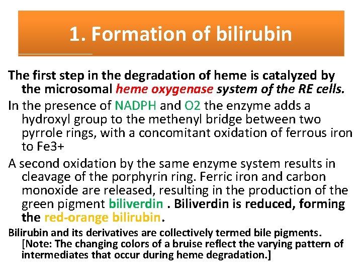 1. Formation of bilirubin The first step in the degradation of heme is catalyzed