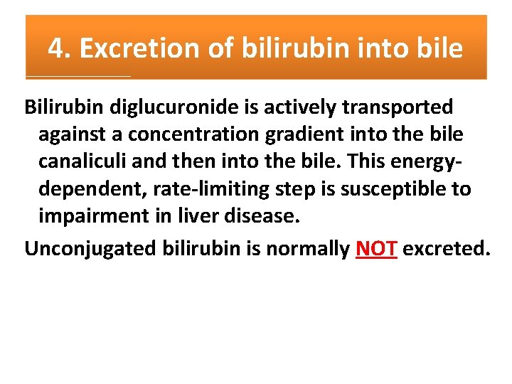 4. Excretion of bilirubin into bile Bilirubin diglucuronide is actively transported against a concentration
