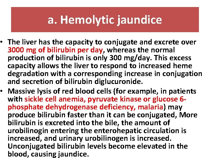 a. Hemolytic jaundice • The liver has the capacity to conjugate and excrete over