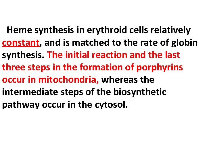 Heme synthesis in erythroid cells relatively constant, and is matched to the rate of