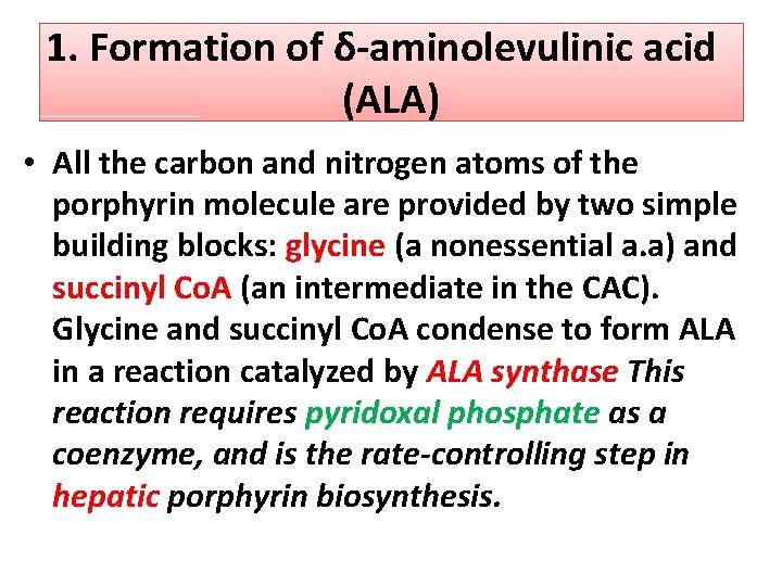 1. Formation of δ-aminolevulinic acid (ALA) • All the carbon and nitrogen atoms of