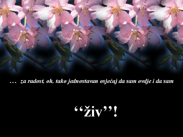 … za radost, oh, tako jednostavan osjećaj da sam ovdje i da sam ‘‘živ’’!