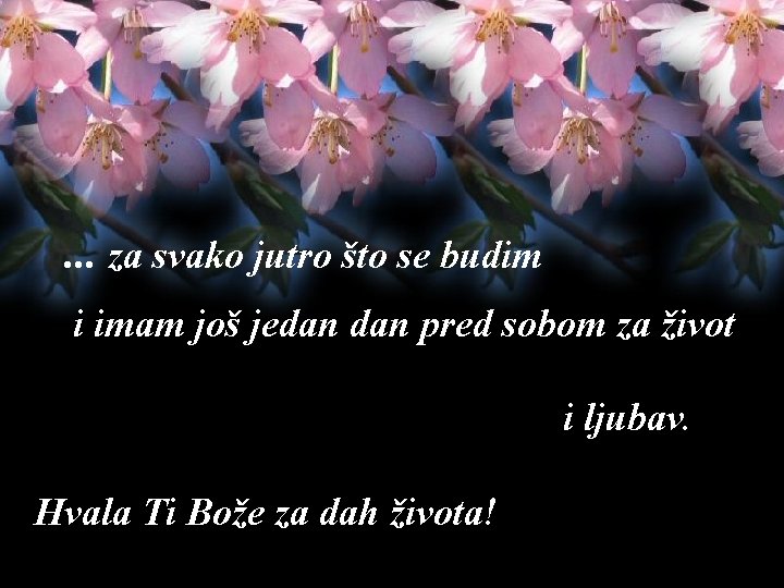 . . . za svako jutro što se budim i imam još jedan pred