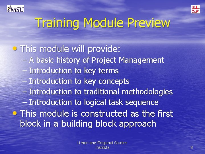 Training Module Preview • This module will provide: – A basic history of Project