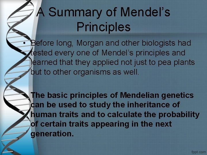 A Summary of Mendel’s Principles • Before long, Morgan and other biologists had tested