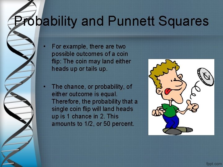 Probability and Punnett Squares • For example, there are two possible outcomes of a