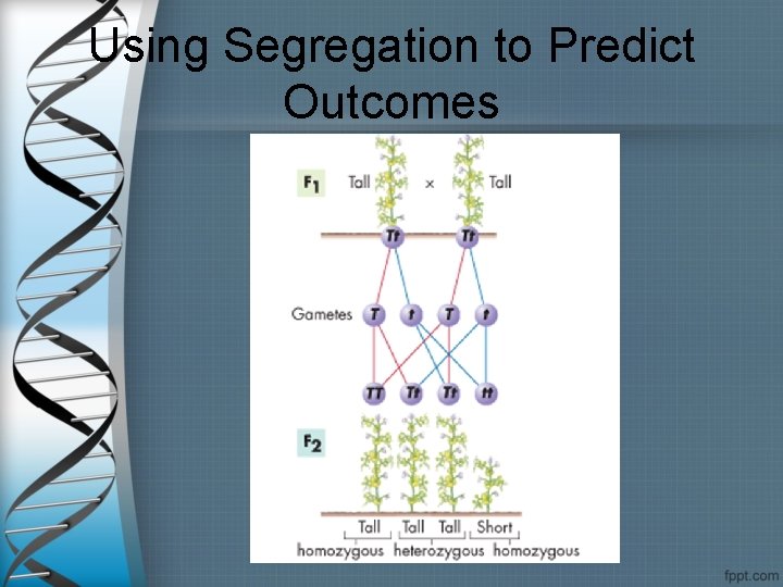 Using Segregation to Predict Outcomes 