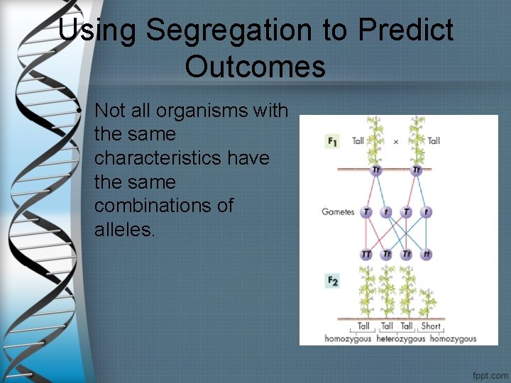 Using Segregation to Predict Outcomes • Not all organisms with the same characteristics have