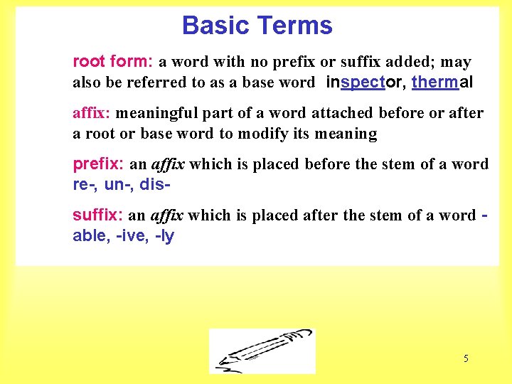 Basic Terms root form: a word with no prefix or suffix added; may also