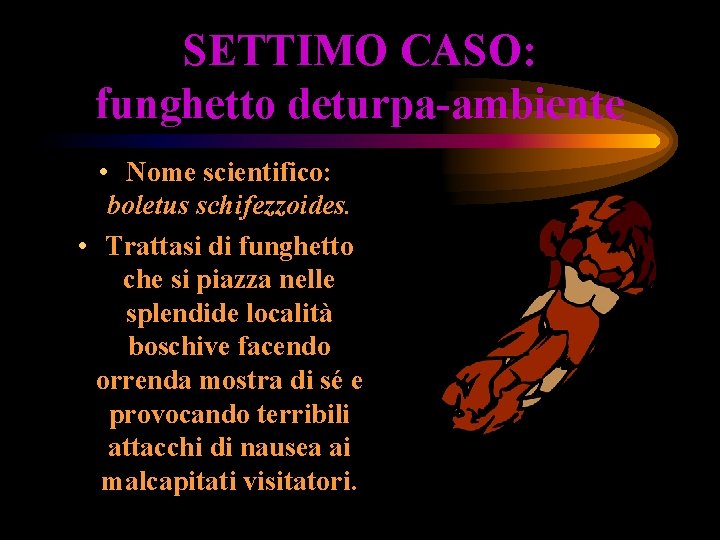 SETTIMO CASO: funghetto deturpa-ambiente • Nome scientifico: boletus schifezzoides. • Trattasi di funghetto che