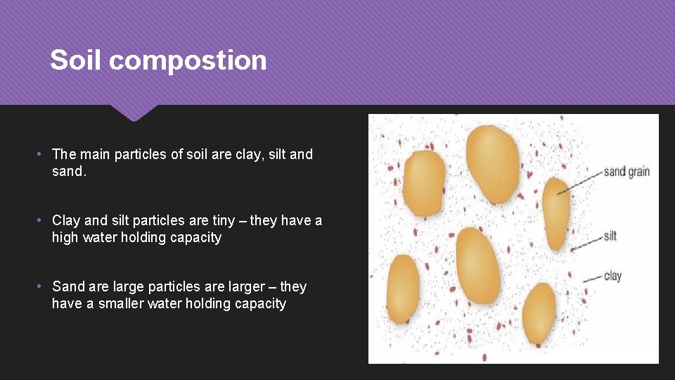 Soil compostion • The main particles of soil are clay, silt and sand. •