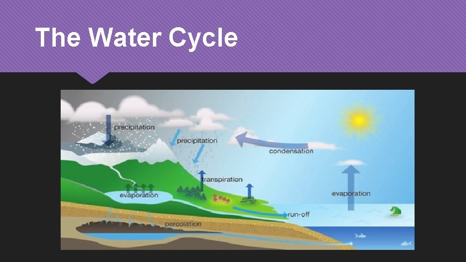 The Water Cycle 