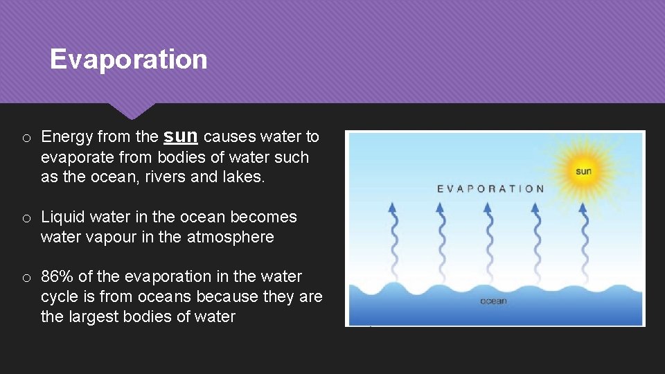 Evaporation o Energy from the sun causes water to evaporate from bodies of water