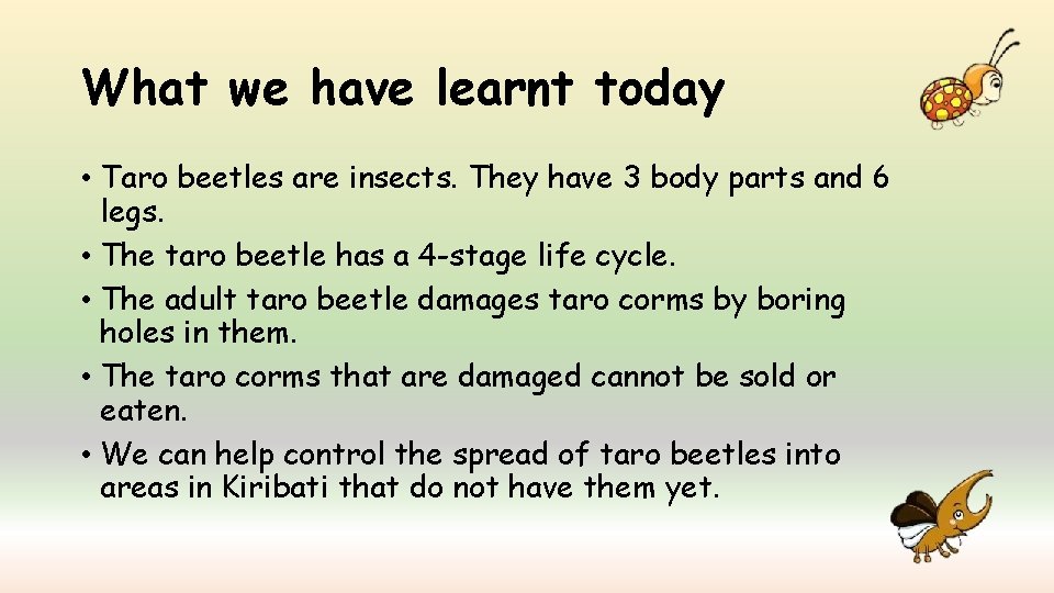 What we have learnt today • Taro beetles are insects. They have 3 body