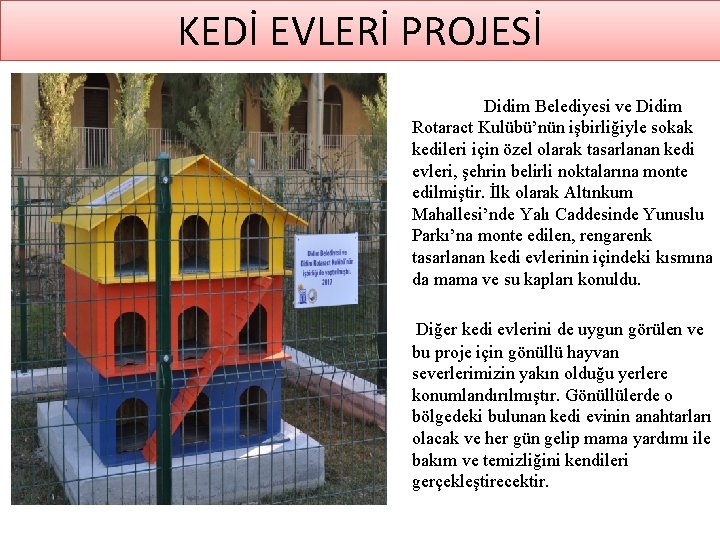 KEDİ EVLERİ PROJESİ Didim Belediyesi ve Didim Rotaract Kulübü’nün işbirliğiyle sokak kedileri için özel