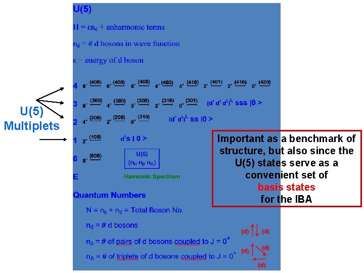 U(5) Multiplets Important as a benchmark of structure, but also since the U(5) states
