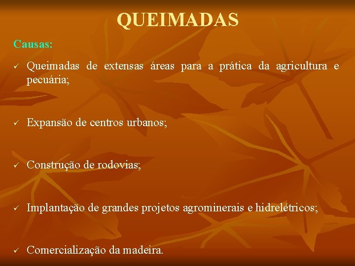 QUEIMADAS Causas: ü Queimadas de extensas áreas para a prática da agricultura e pecuária;