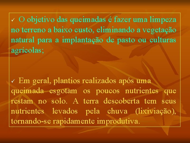 O objetivo das queimadas é fazer uma limpeza no terreno a baixo custo, eliminando