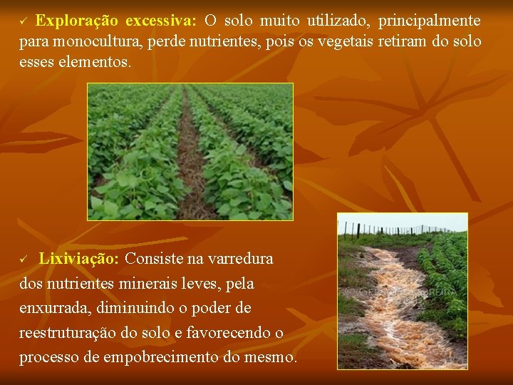 Exploração excessiva: O solo muito utilizado, principalmente para monocultura, perde nutrientes, pois os vegetais