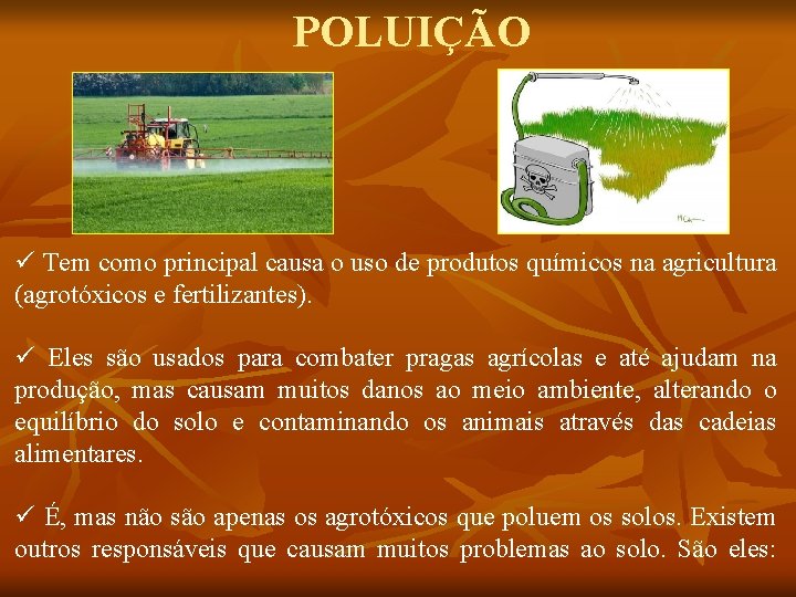 POLUIÇÃO ü Tem como principal causa o uso de produtos químicos na agricultura (agrotóxicos