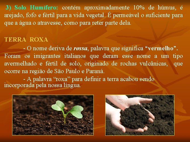 3) Solo Humífero: contém aproximadamente 10% de húmus, é arejado, fofo e fértil para