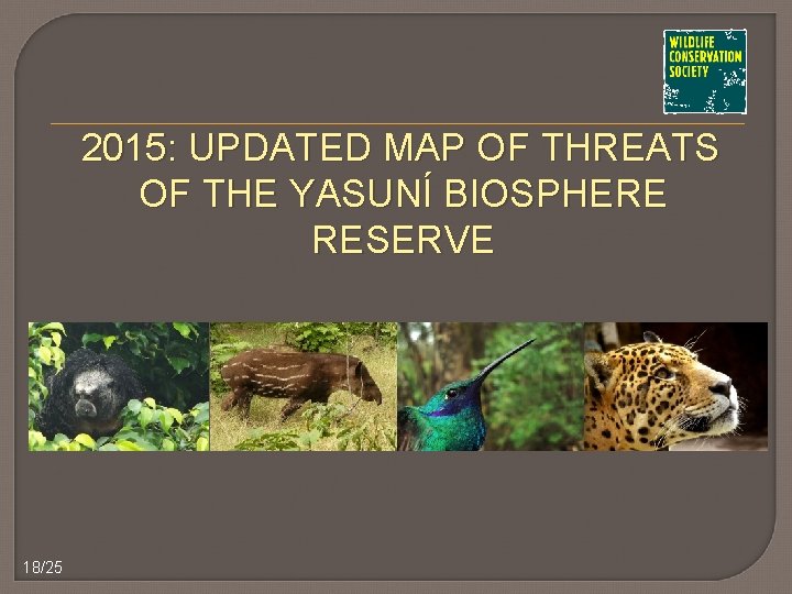 2015: UPDATED MAP OF THREATS OF THE YASUNÍ BIOSPHERE RESERVE 18/25 