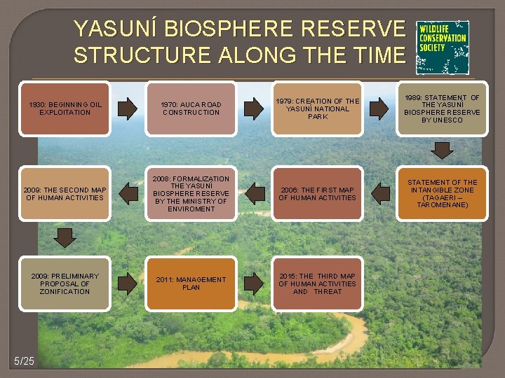 YASUNÍ BIOSPHERE RESERVE STRUCTURE ALONG THE TIME 1930: BEGINNING OIL EXPLOITATION 1970: AUCA ROAD