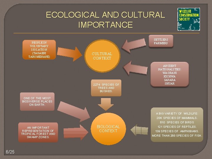 ECOLOGICAL AND CULTURAL IMPORTANCE PEOPLE IN VOLUNTARY ISOLATION (TAGAERI TAROMENANE) SETTLERS FARMERS CULTURAL CONTEXT