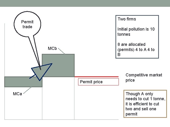 Two firms Permit trade Initial pollution is 10 tonnes 8 are allocated (permits) 4