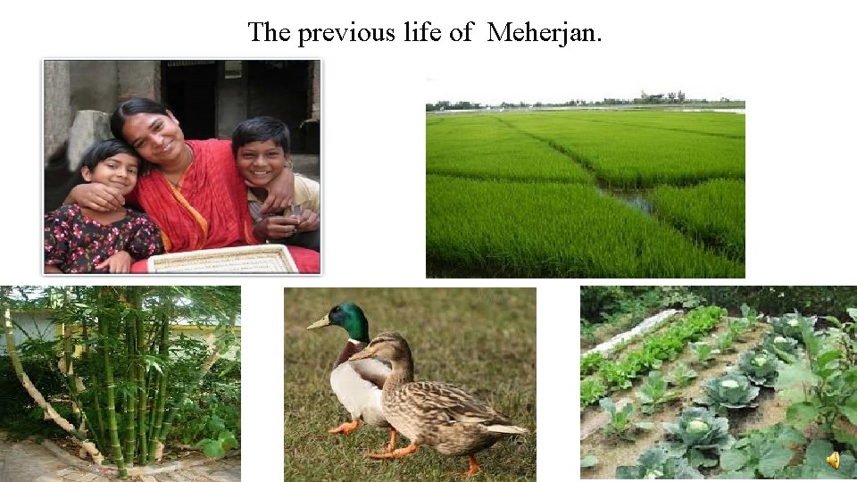 The previous life of Meherjan. 