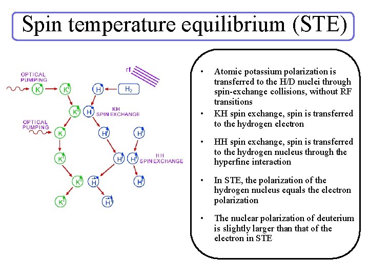 Spin temperature equilibrium (STE) • • Atomic potassium polarization is transferred to the H/D