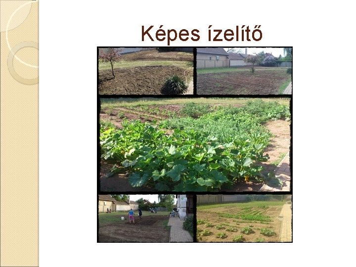 Képes ízelítő 