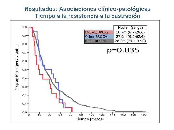 Proporción supervivientes Resultados: Asociaciones clínico-patológicas Tiempo a la resistencia a la castración Tiempo (meses)
