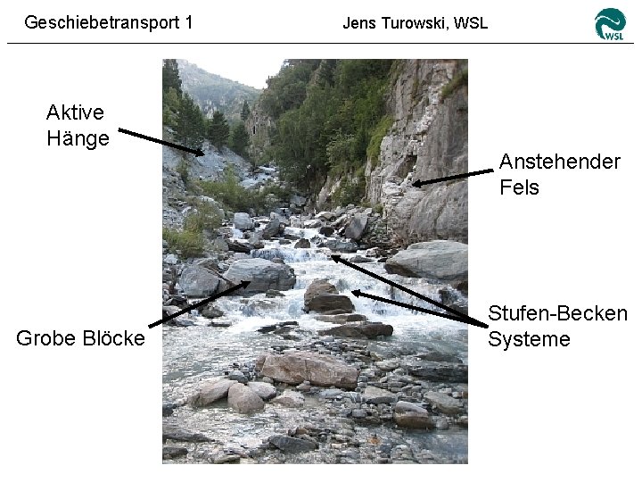 Geschiebetransport 1 Aktive Hänge Grobe Blöcke Jens Turowski, WSL Anstehender Fels Stufen-Becken Systeme 