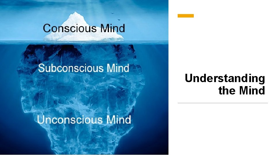 Understanding the Mind 
