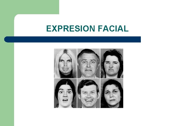 EXPRESION FACIAL 