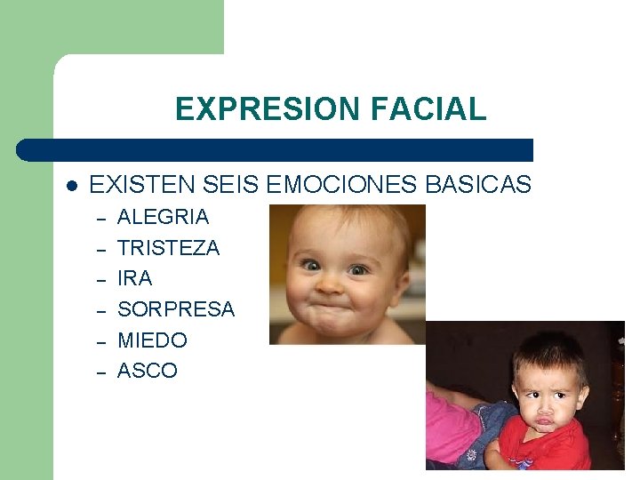 EXPRESION FACIAL l EXISTEN SEIS EMOCIONES BASICAS – – – ALEGRIA TRISTEZA IRA SORPRESA