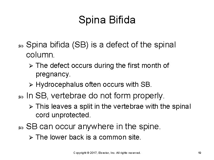 Spina Bifida Spina bifida (SB) is a defect of the spinal column. The defect