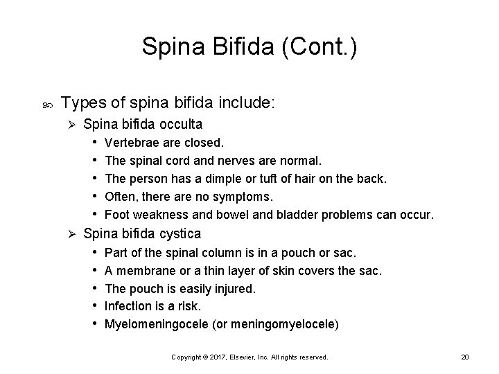Spina Bifida (Cont. ) Types of spina bifida include: Ø Spina bifida occulta •