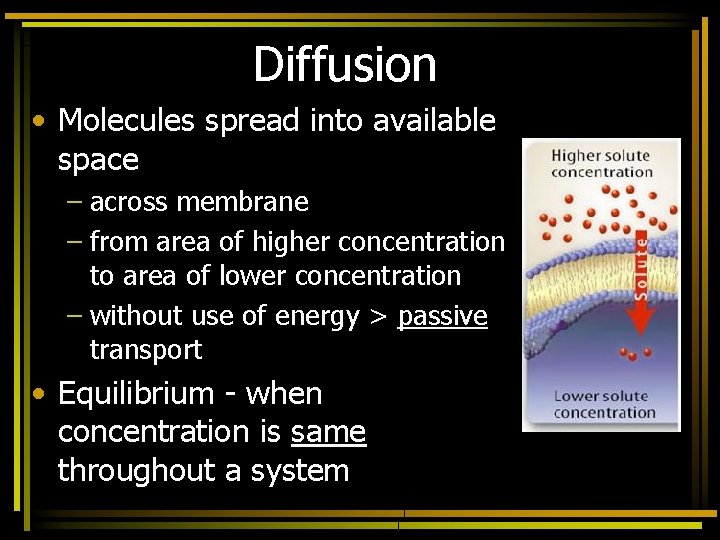 Diffusion • Molecules spread into available space – across membrane – from area of