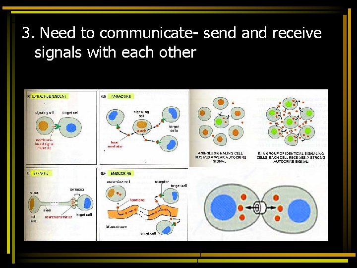 3. Need to communicate- send and receive signals with each other 